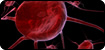 immunology